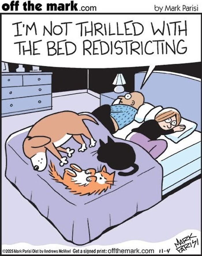 Wait, These Cat Comics Nailed Living With Cats To A T!