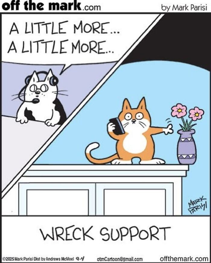 Wait, These Cat Comics Nailed Living With Cats To A T!