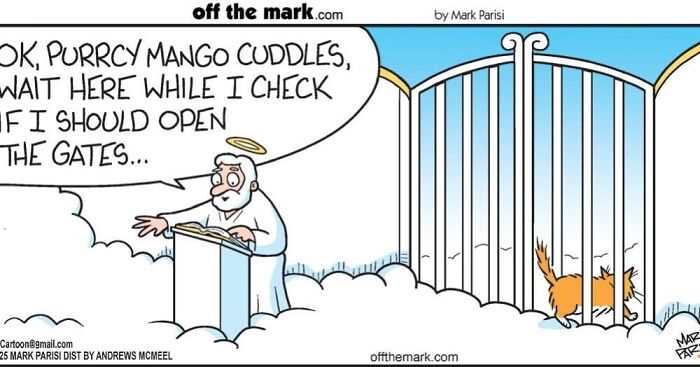 Wait, These Cat Comics Nailed Living With Cats To A T!