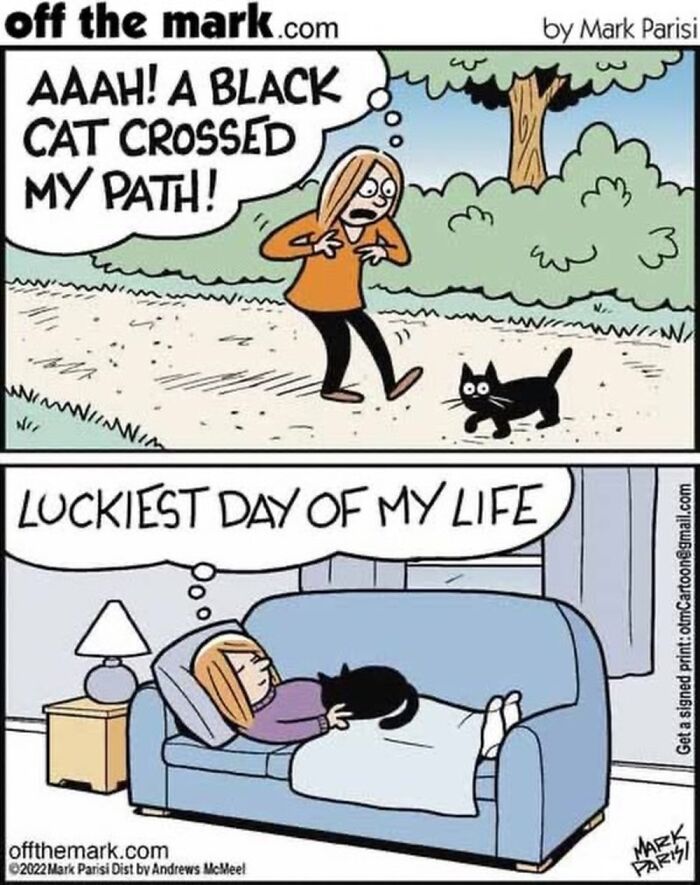 Wait, These Cat Comics Nailed Living With Cats To A T!