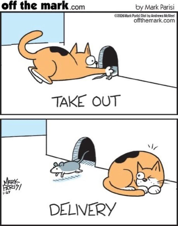 Wait, These Cat Comics Nailed Living With Cats To A T!