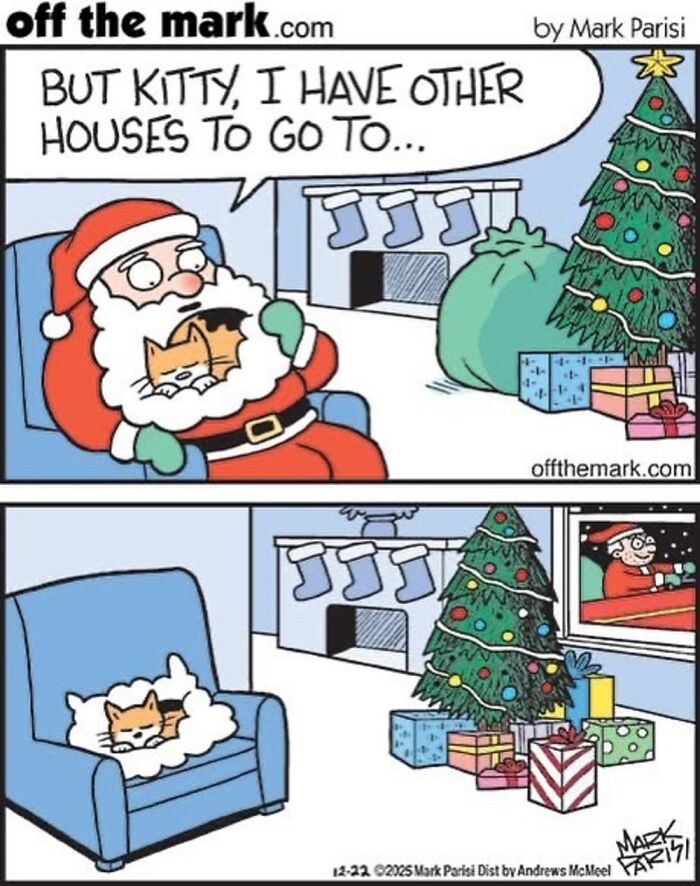 Wait, These Cat Comics Nailed Living With Cats To A T!