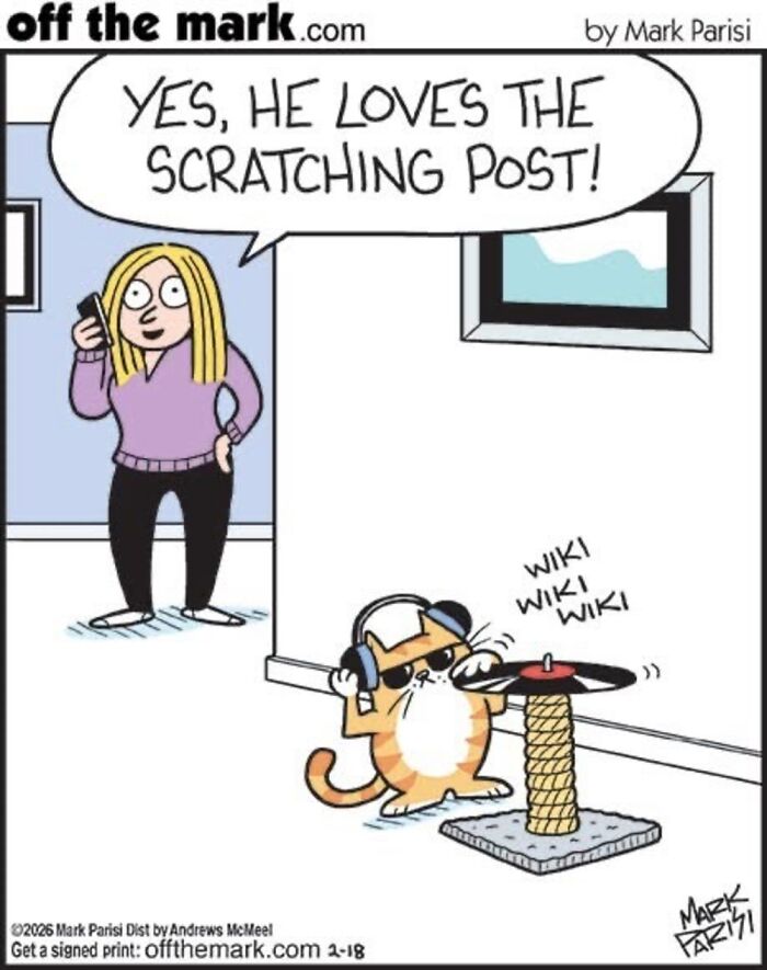 Wait, These Cat Comics Nailed Living With Cats To A T!