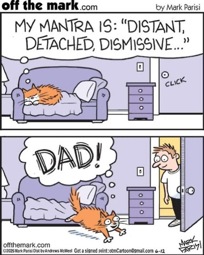 Wait, These Cat Comics Nailed Living With Cats To A T!