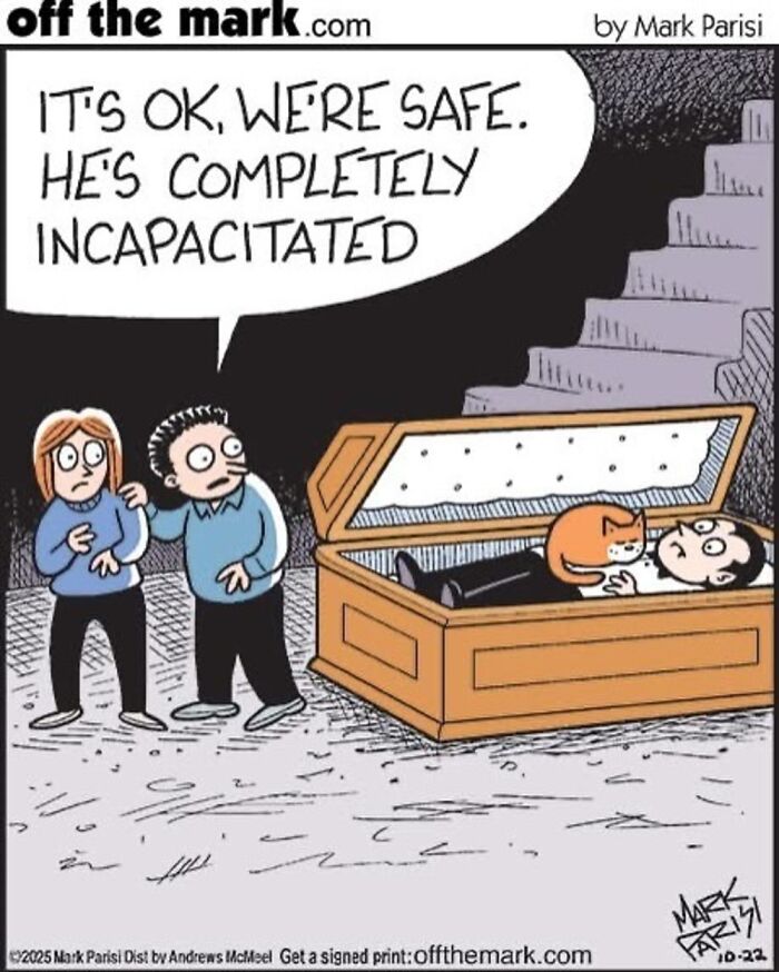 Wait, These Cat Comics Nailed Living With Cats To A T!