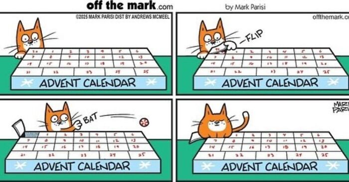 Wait, These Cat Comics Nailed Living With Cats To A T!