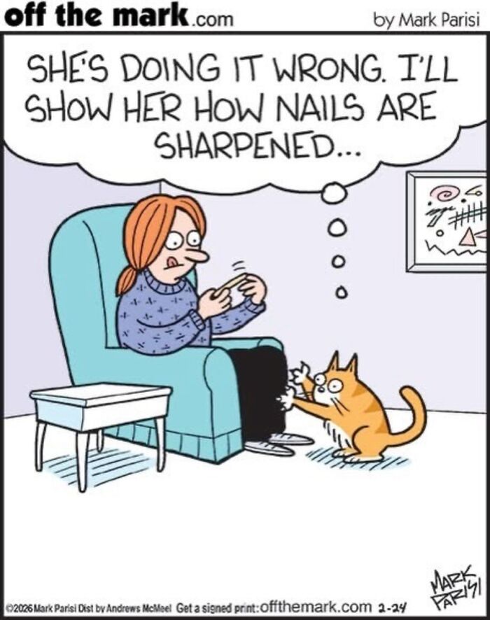 Wait, These Cat Comics Nailed Living With Cats To A T!