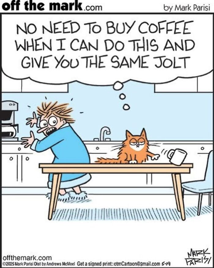 Wait, These Cat Comics Nailed Living With Cats To A T!
