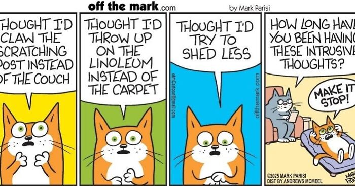 Wait, These Cat Comics Nailed Living With Cats To A T!
