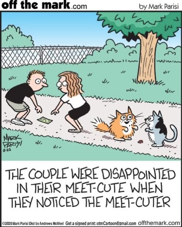 Wait, These Cat Comics Nailed Living With Cats To A T!