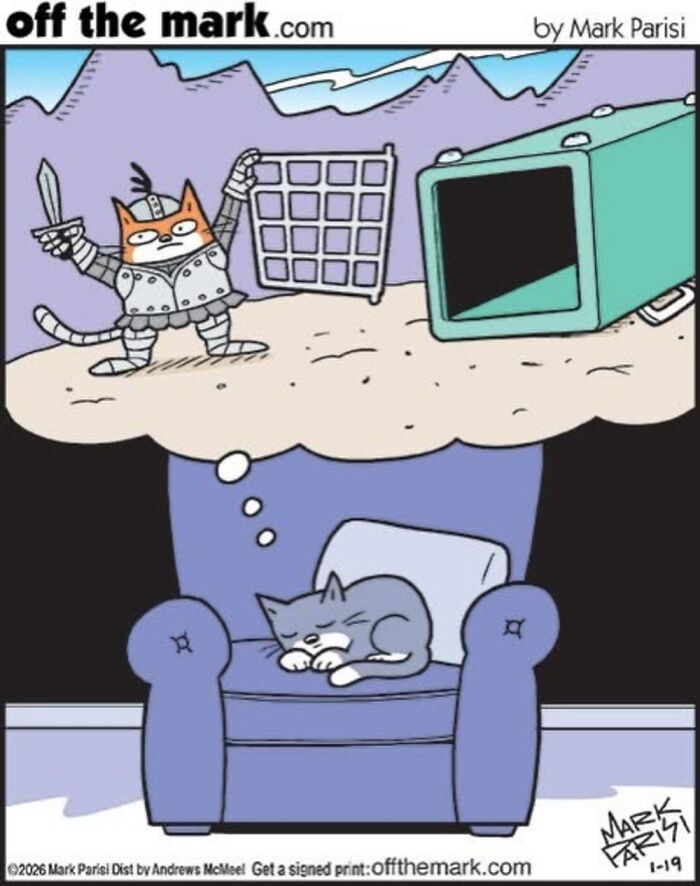 Wait, These Cat Comics Nailed Living With Cats To A T!