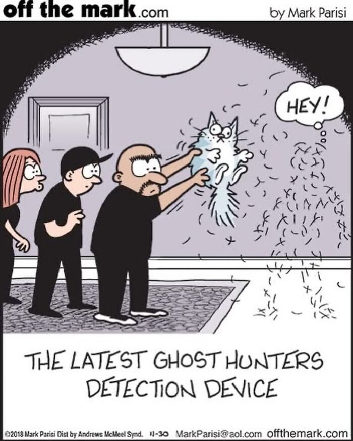 Wait, These Cat Comics Nailed Living With Cats To A T!