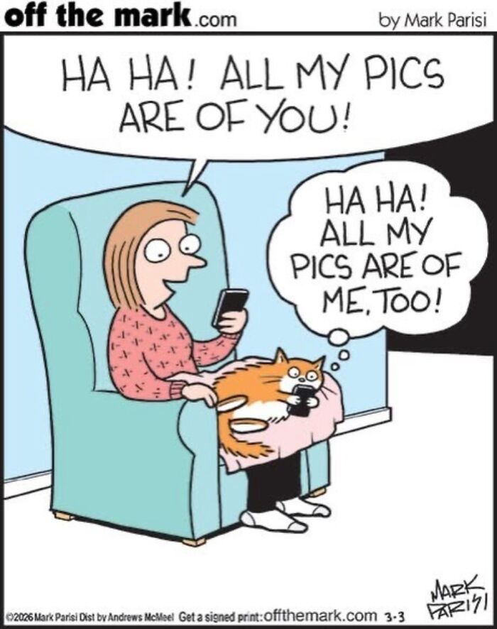 Wait, These Cat Comics Nailed Living With Cats To A T!