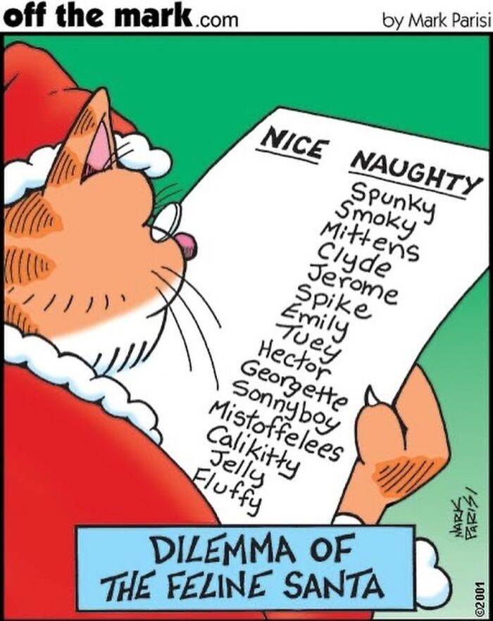 Wait, These Cat Comics Nailed Living With Cats To A T!