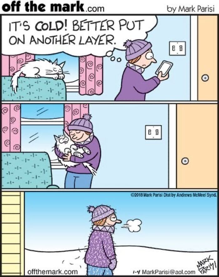 Wait, These Cat Comics Nailed Living With Cats To A T!