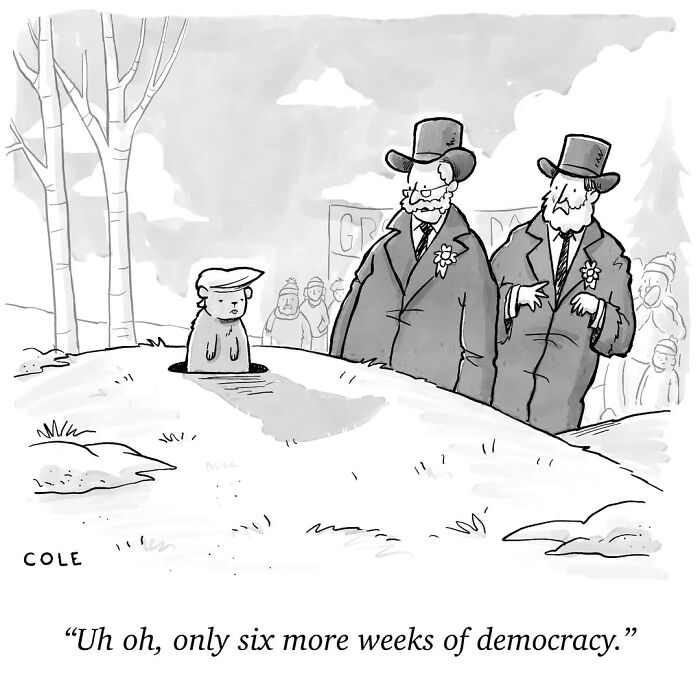 These 43 One-Panel Cartoons Are Tiny Jokes That Totally Nail It