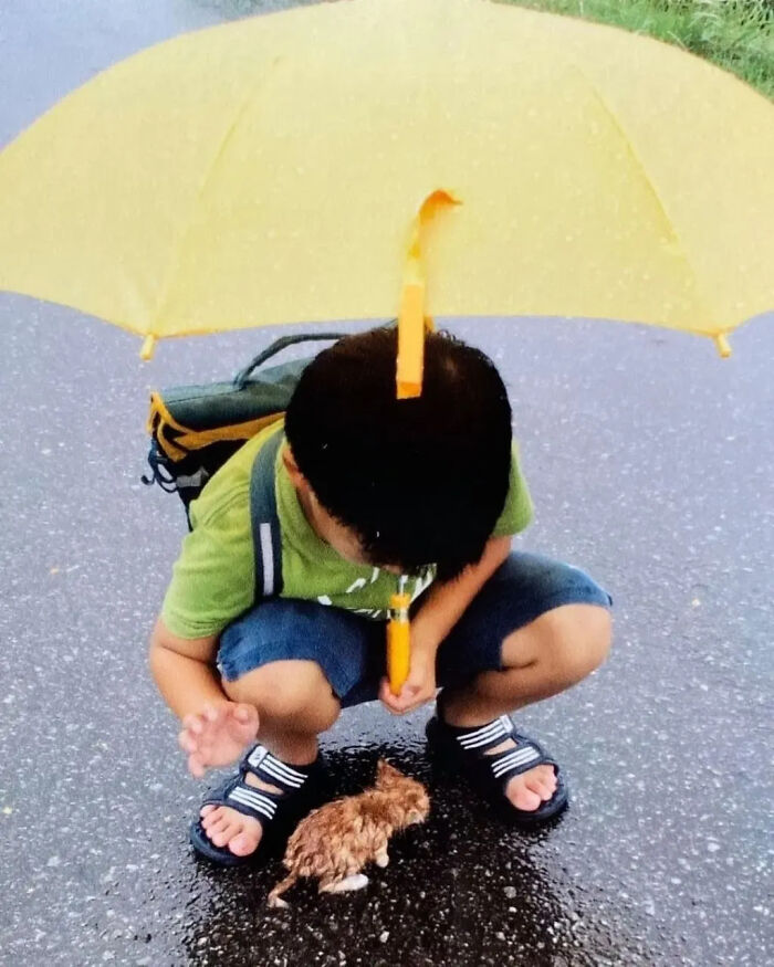 This Instagram Page Is Pure Cat Chaos And You'll Totally Wanna Adopt One