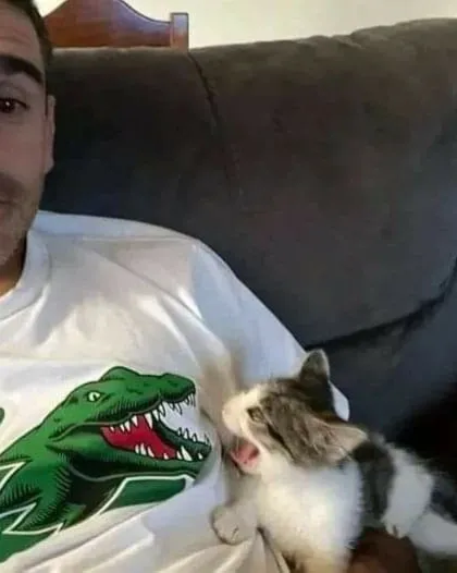 This Instagram Page Is Pure Cat Chaos And You'll Totally Wanna Adopt One