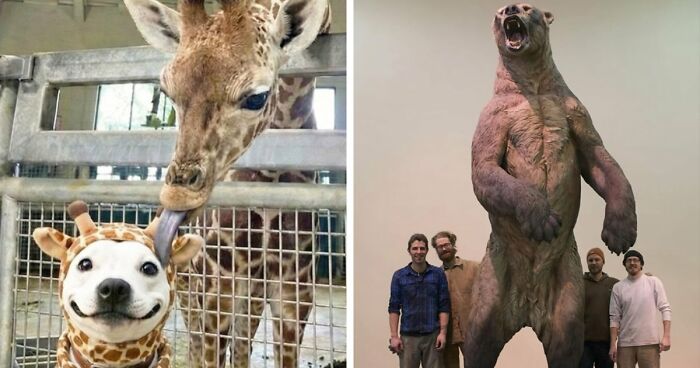 Wait, Nature Is Actually This Wild?! 59 Mind-Blowing Facts To Blow Your Mind