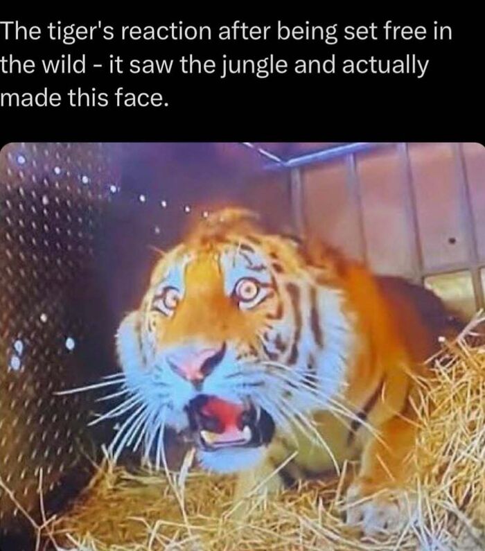 Wait, Nature Is Actually This Wild?! 59 Mind-Blowing Facts To Blow Your Mind