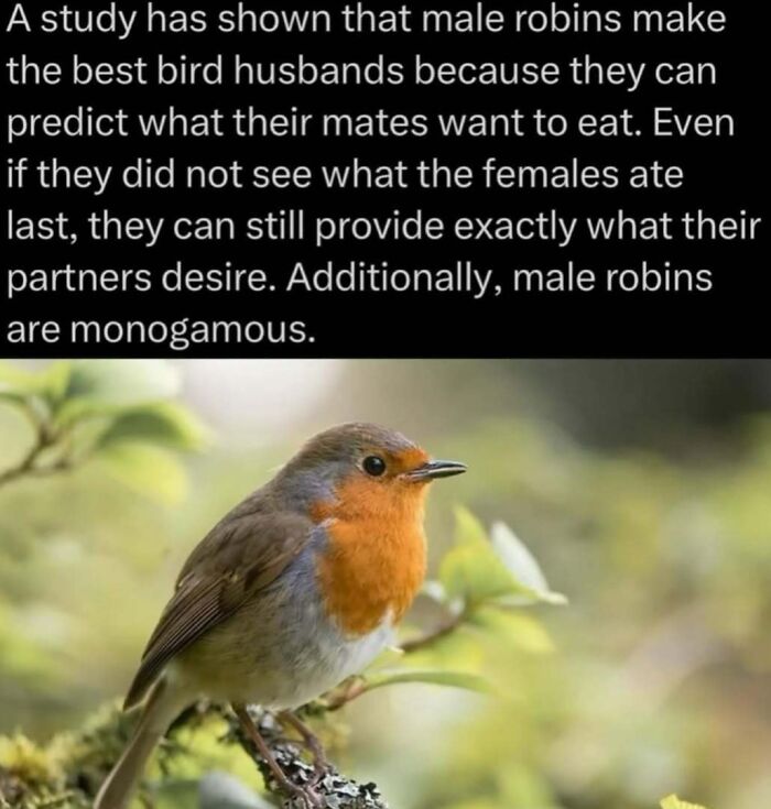 Wait, Nature Is Actually This Wild?! 59 Mind-Blowing Facts To Blow Your Mind