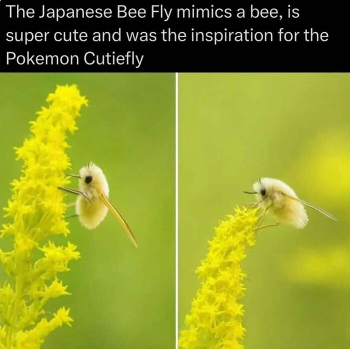 Wait, Nature Is Actually This Wild?! 59 Mind-Blowing Facts To Blow Your Mind