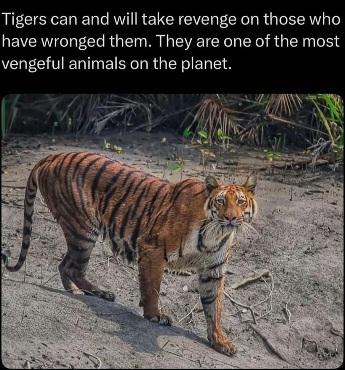 Wait, Nature Is Actually This Wild?! 59 Mind-Blowing Facts To Blow Your Mind