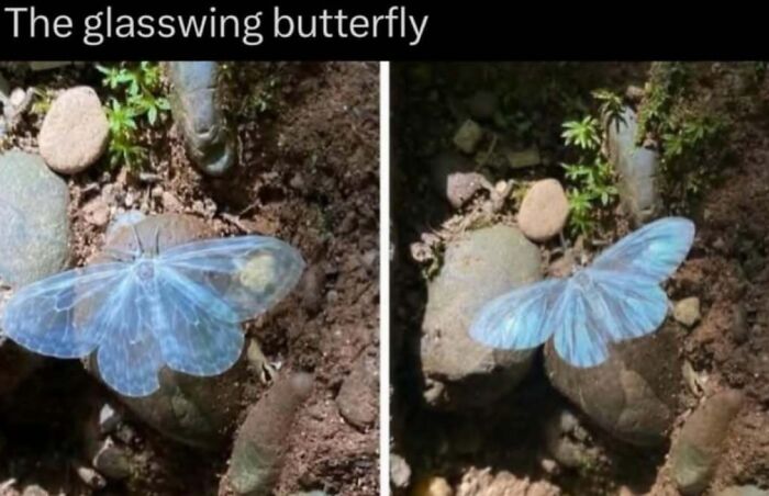 Wait, Nature Is Actually This Wild?! 59 Mind-Blowing Facts To Blow Your Mind