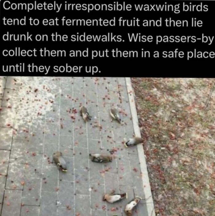 Wait, Nature Is Actually This Wild?! 59 Mind-Blowing Facts To Blow Your Mind