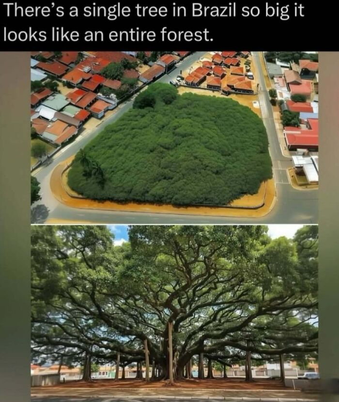 Wait, Nature Is Actually This Wild?! 59 Mind-Blowing Facts To Blow Your Mind