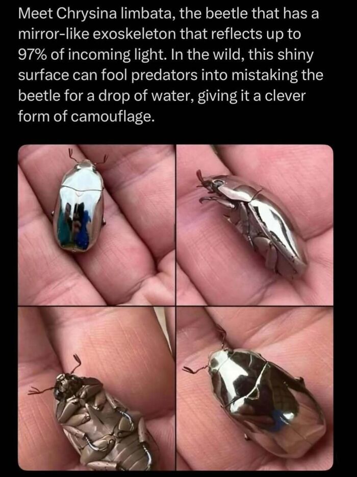 Wait, Nature Is Actually This Wild?! 59 Mind-Blowing Facts To Blow Your Mind