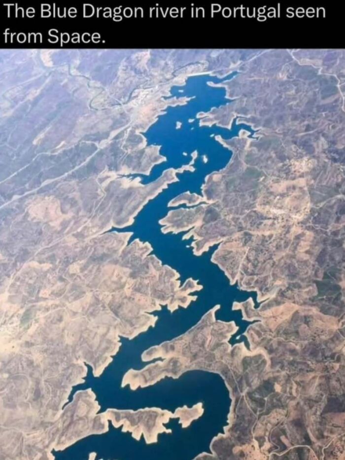 Wait, Nature Is Actually This Wild?! 59 Mind-Blowing Facts To Blow Your Mind