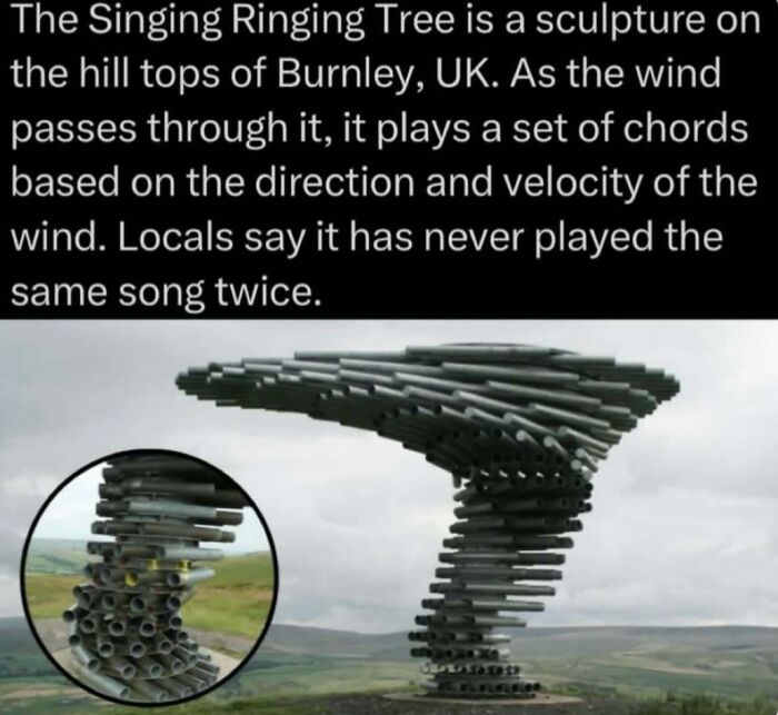 Wait, Nature Is Actually This Wild?! 59 Mind-Blowing Facts To Blow Your Mind