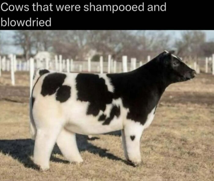 Wait, Nature Is Actually This Wild?! 59 Mind-Blowing Facts To Blow Your Mind