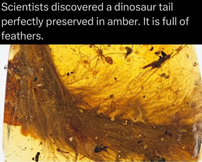 Wait, Nature Is Actually This Wild?! 59 Mind-Blowing Facts To Blow Your Mind