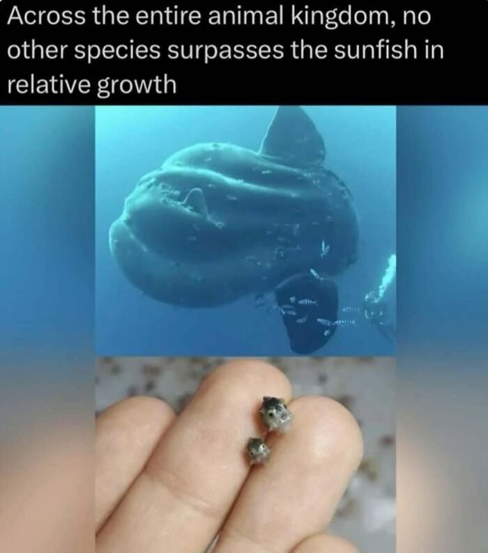 Wait, Nature Is Actually This Wild?! 59 Mind-Blowing Facts To Blow Your Mind