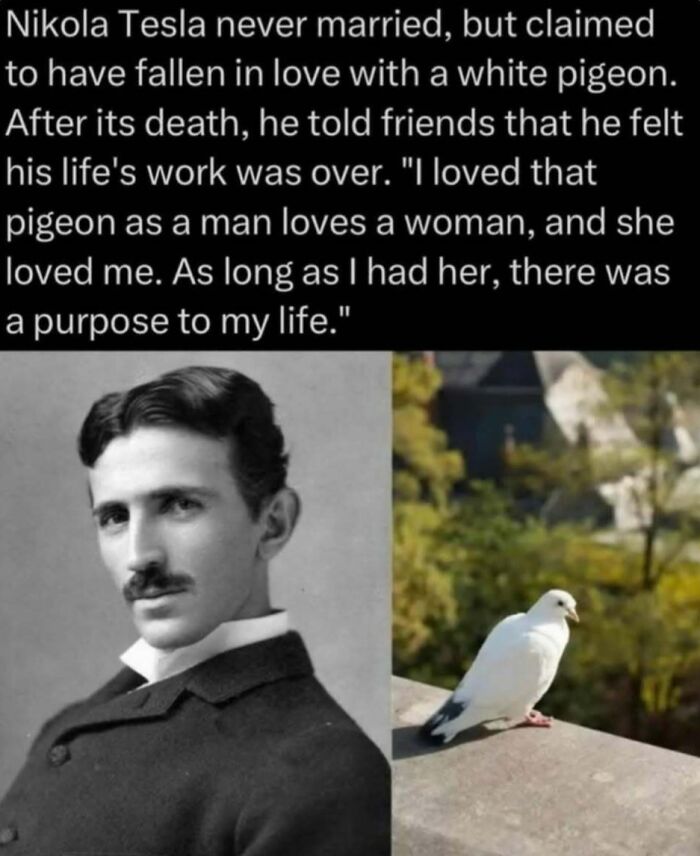 Wait, Nature Is Actually This Wild?! 59 Mind-Blowing Facts To Blow Your Mind