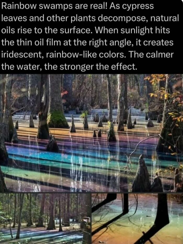 Wait, Nature Is Actually This Wild?! 59 Mind-Blowing Facts To Blow Your Mind