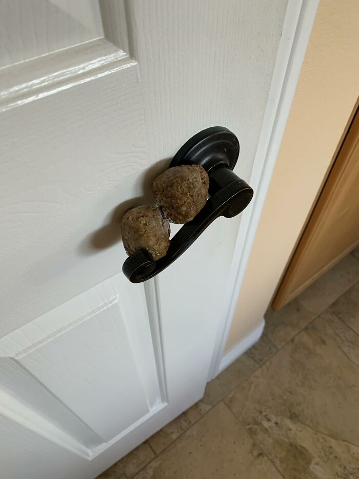 Frozen Meatball Disaster: When You Drop and Miss... Twice