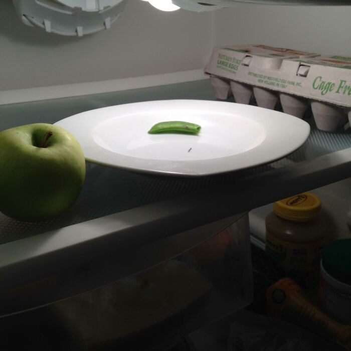 Modern Art or Kitchen Chaos? You Decide!