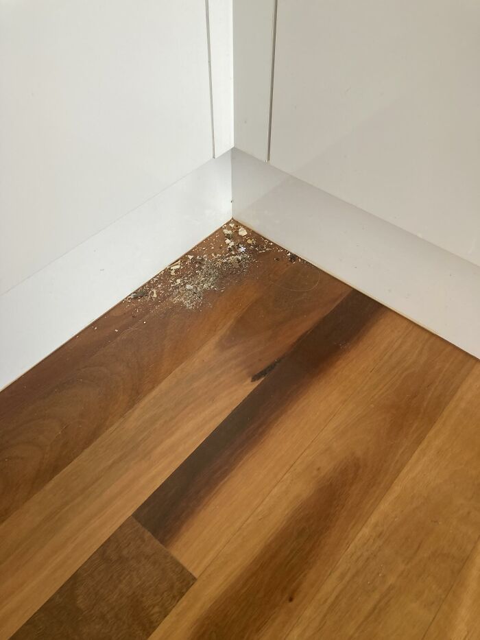 Kitchen Floor Swept... And That’s All She Wrote