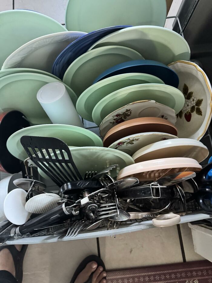 Looks Like A Raccoon Had A Party In The Dishwasher