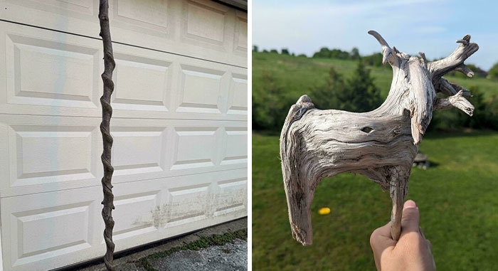 Wait, People Actually Found These Crazy Sticks?!