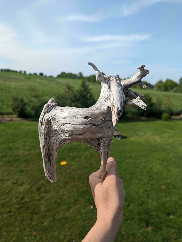 Hey, Check Out This Cool Stick I Found!