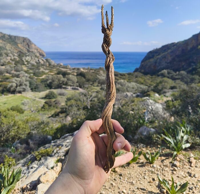 Rare Magic Stick From Ancient Roman City Lissos, Greece!