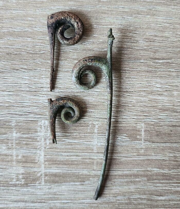 Found These Small Twigs In A Park—No Clue What They Are!