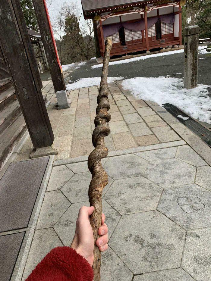 Found A Stick At Nariaiji Temple, Japan