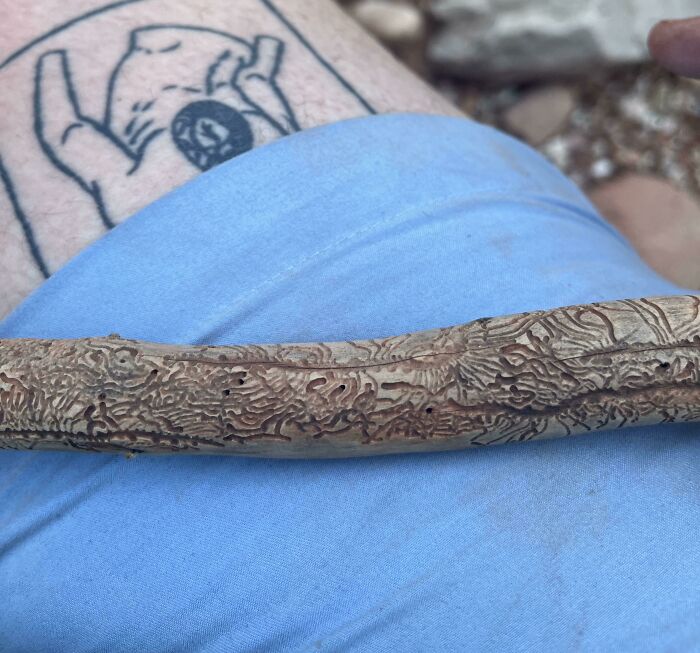 Check Out This Crazy Pattern On A Stick From Sedona, AZ