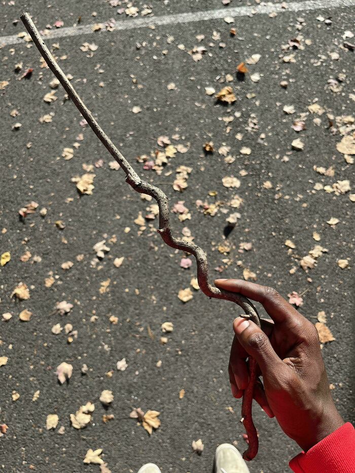 Today, I Became A Wizard (Thanks To This Stick)