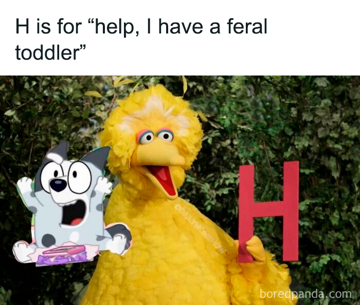 Parenting Memes That Nail Every Crazy Moment (You’ve Been There!)